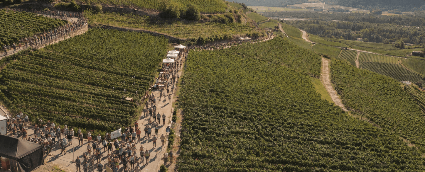 02_Balade des Vins Salgesch.png