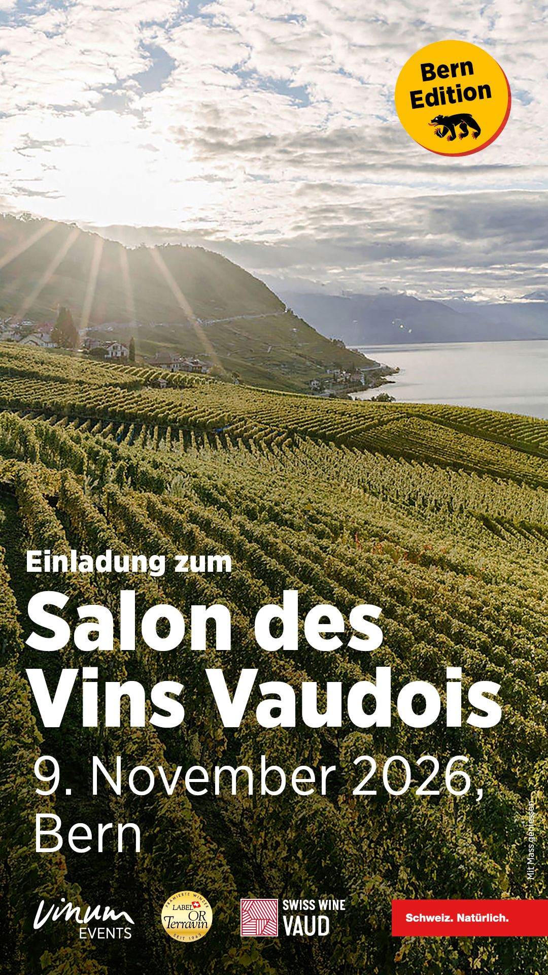 Banner 2026 OVV Bern_1080 x 1920 - Lucila Buschor.jpg