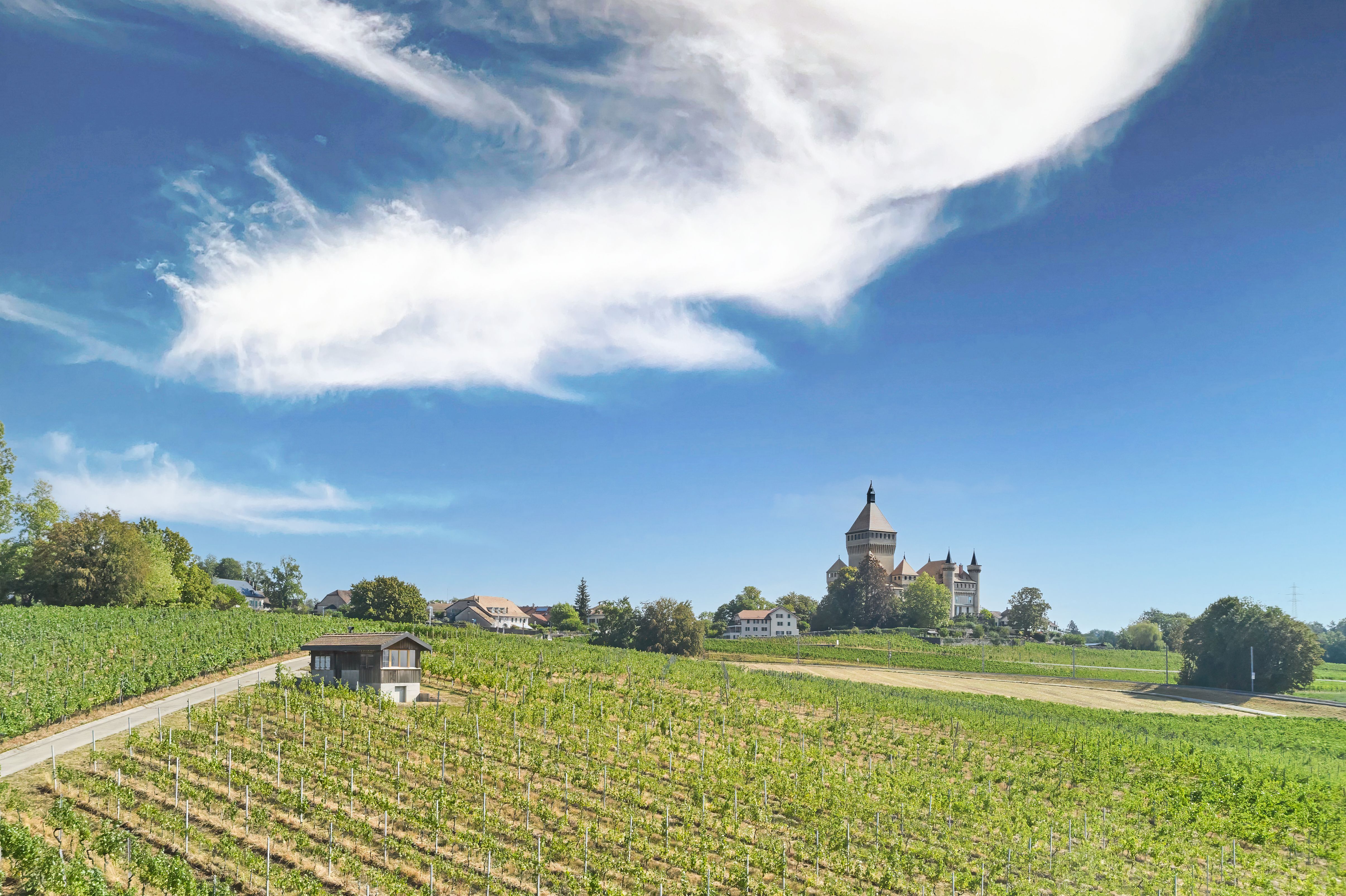 Best Of Wine Tourism 2027 - Aventure du Raisin