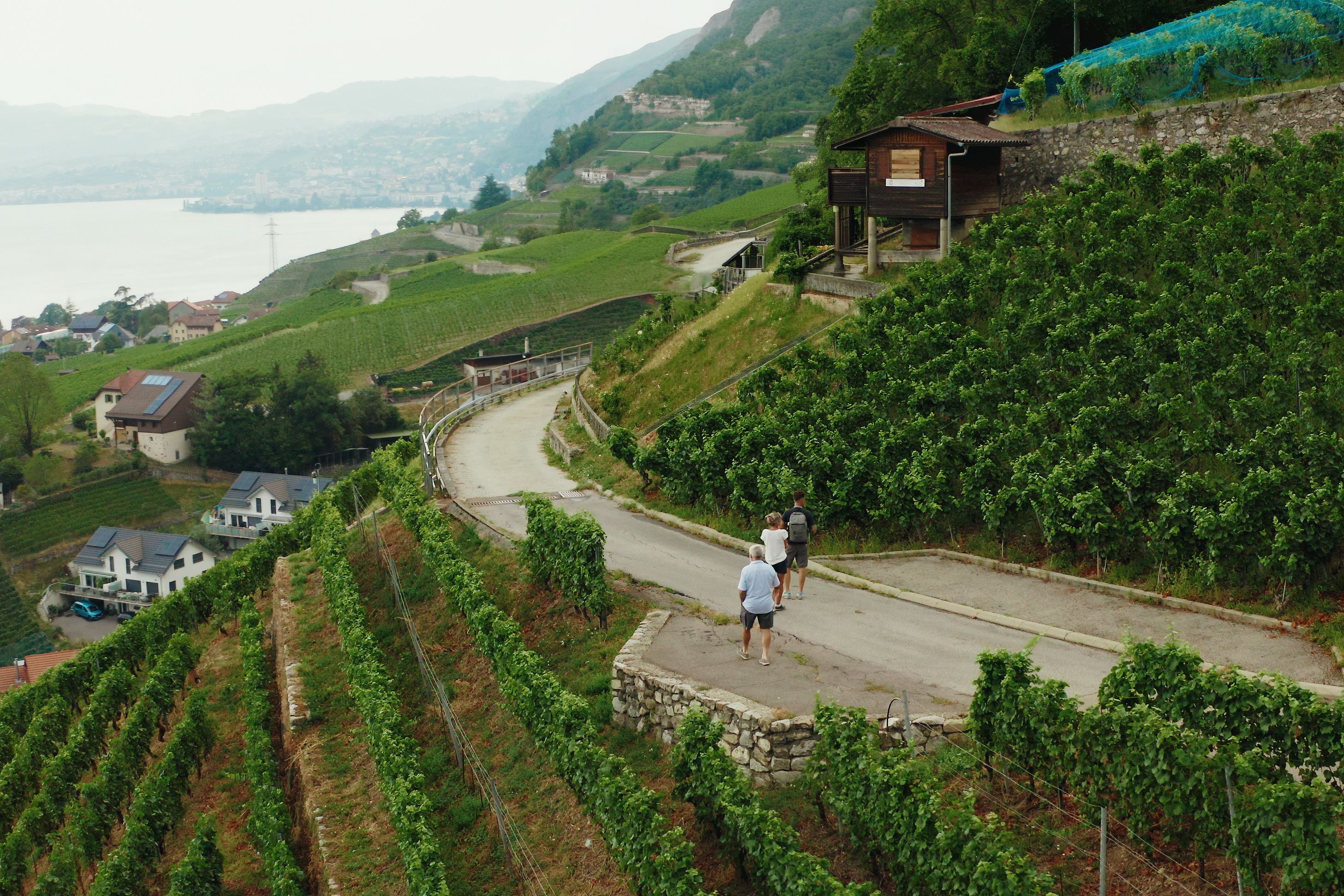 Best Of Wine Tourism 2027 - Domaine Bertholet