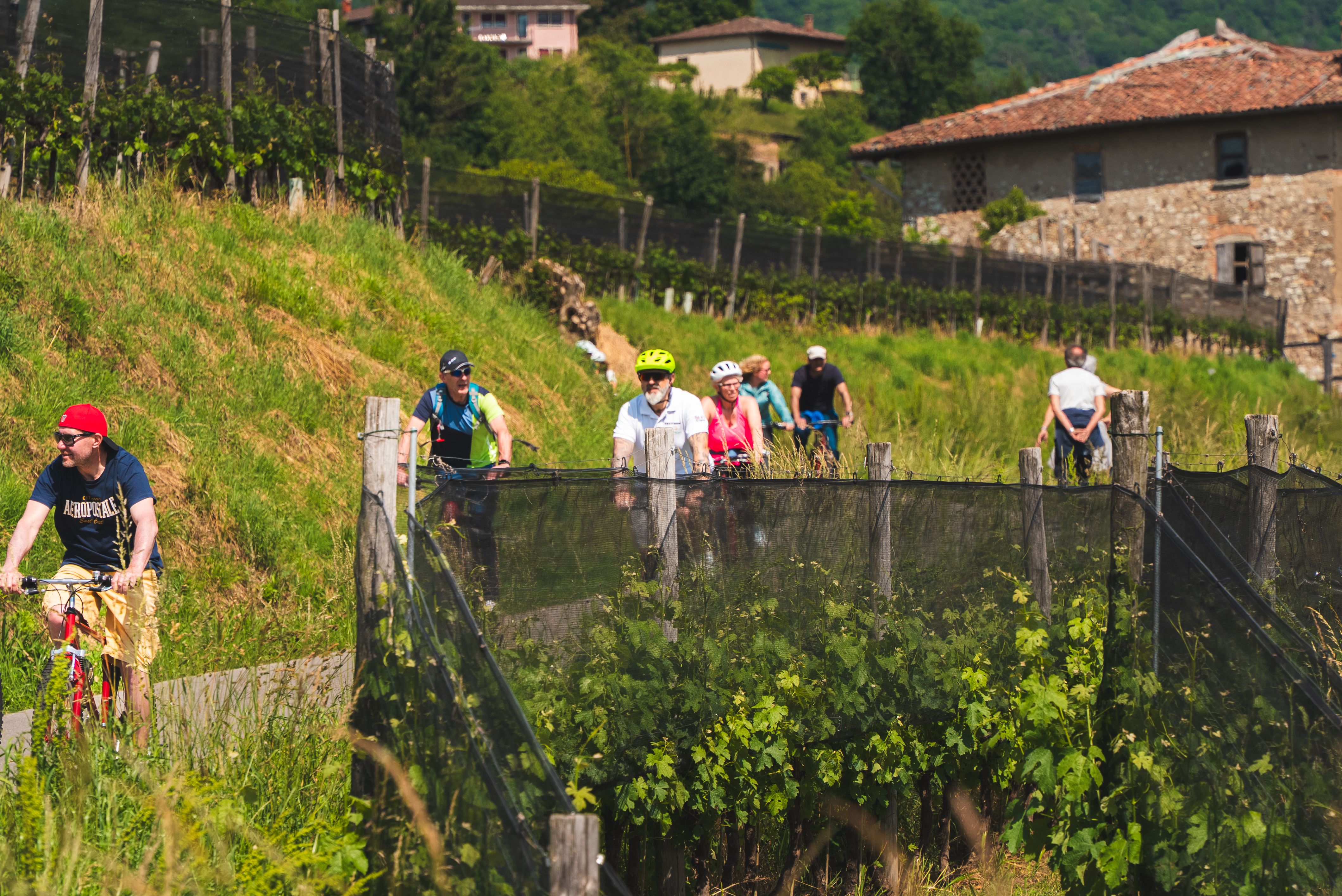 Bike and Discovery Monte San Giorgio, Balerna (TI)