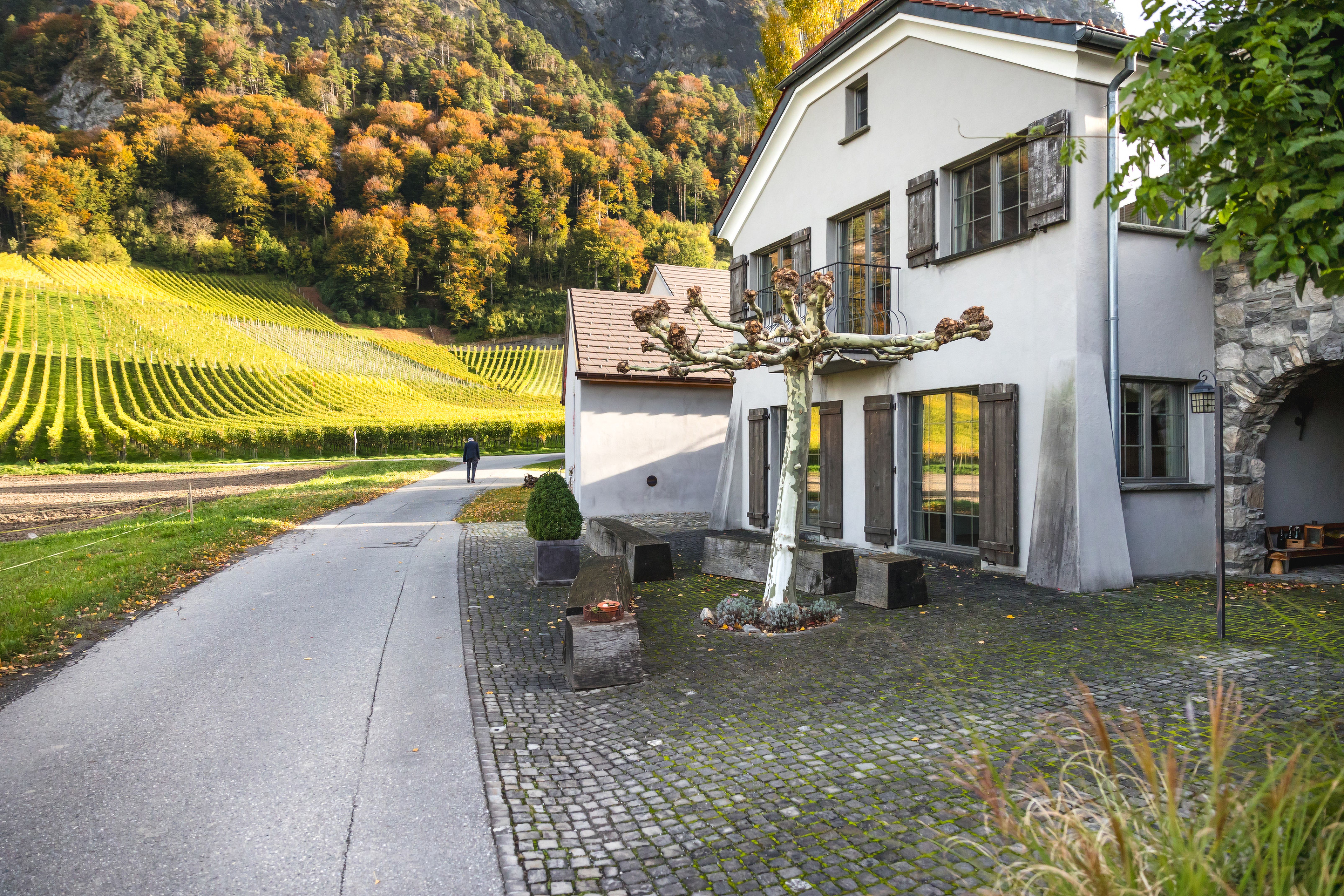 Herrschaftlich. Geniessen & Schlafen, Maienfeld (GR)