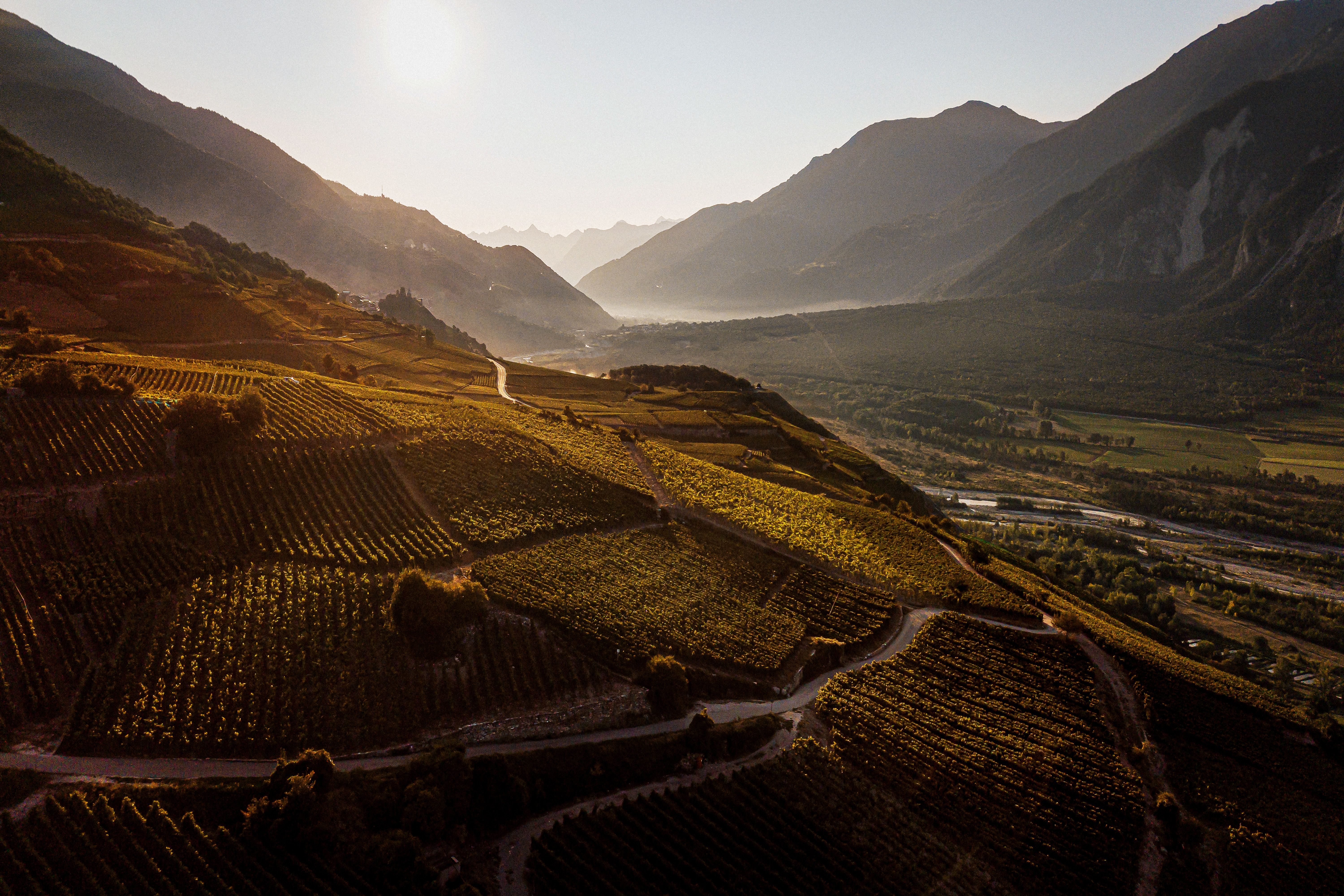 Sélection des Vins du Valais