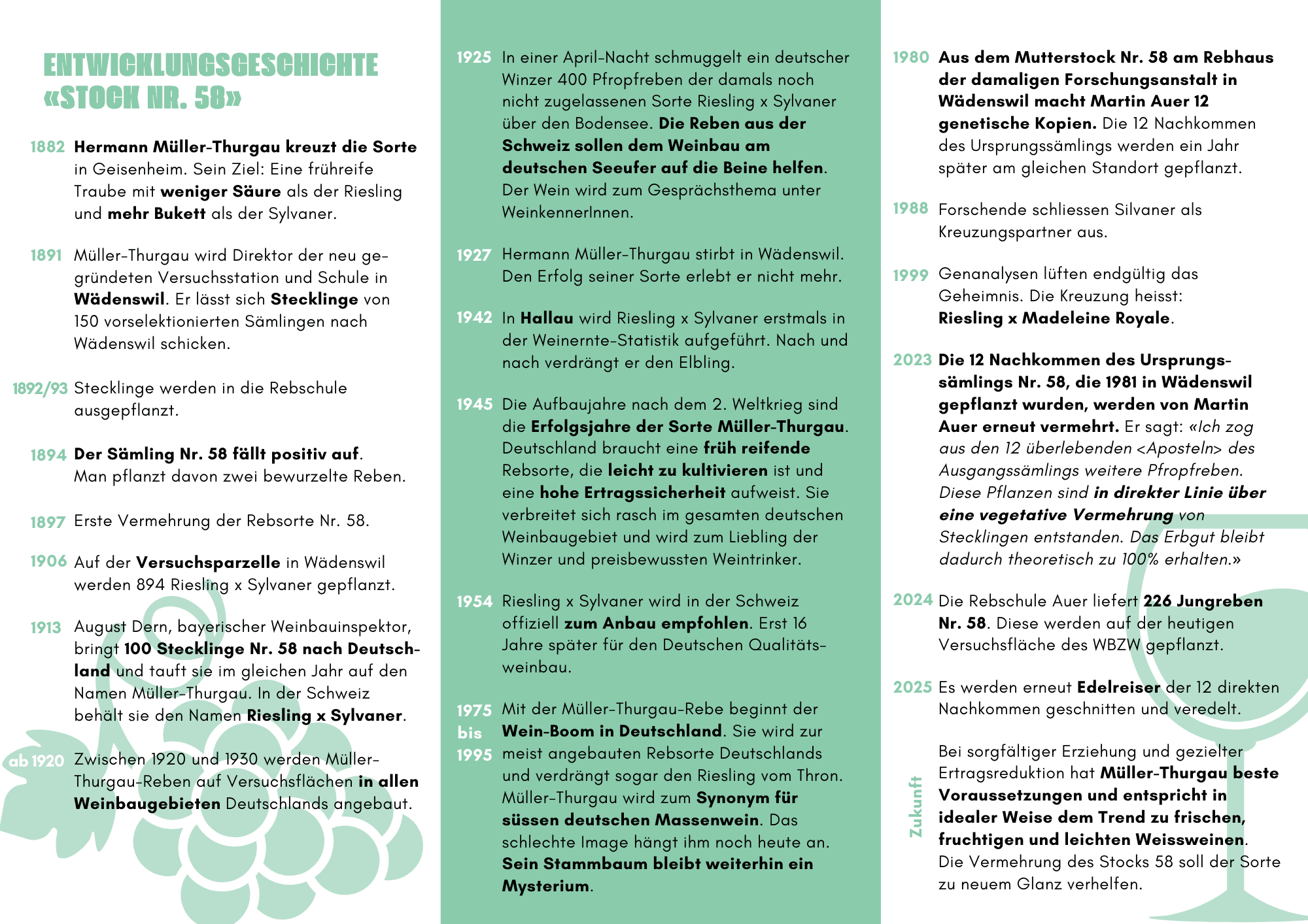 Urrebe Stock 58 - Müller-Thurgau