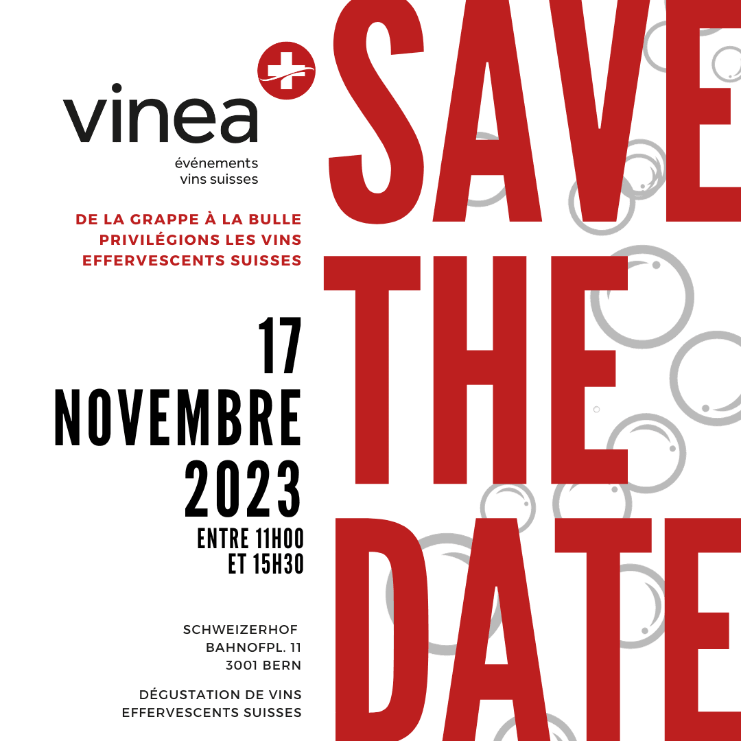 Vinea - De la grappe à la bulle